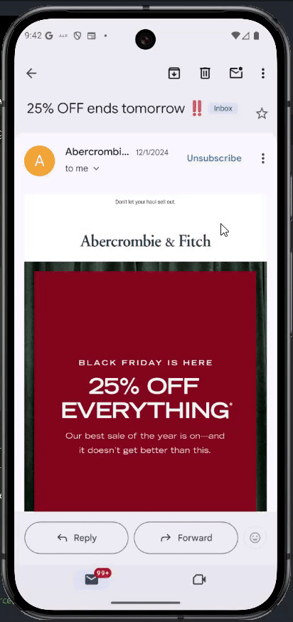 Black Friday Email Preview